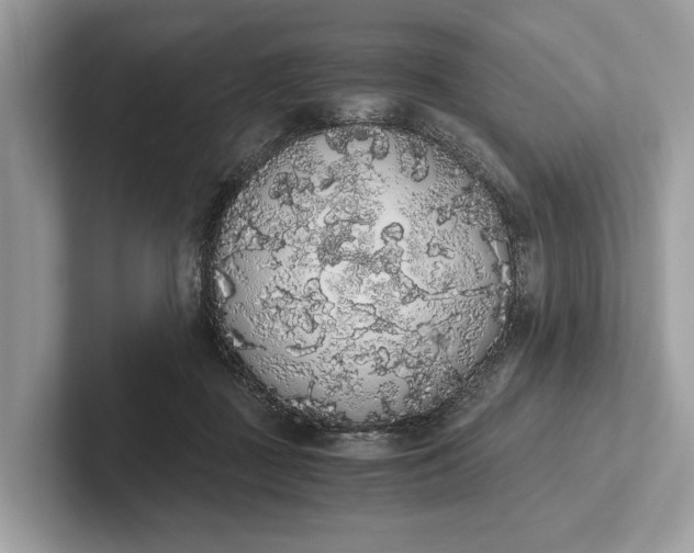 X0000101390363200807211018