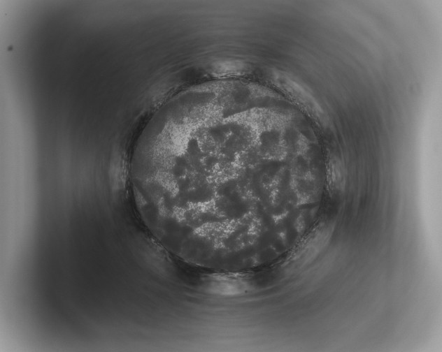 X0000101390367200807211018