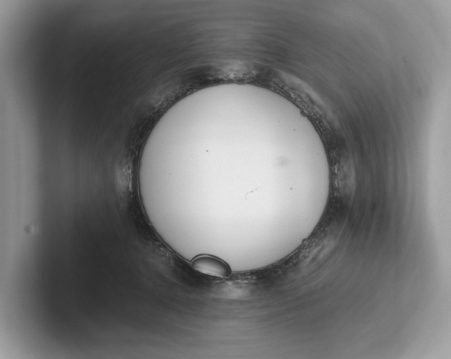 X0000101390368200807211018