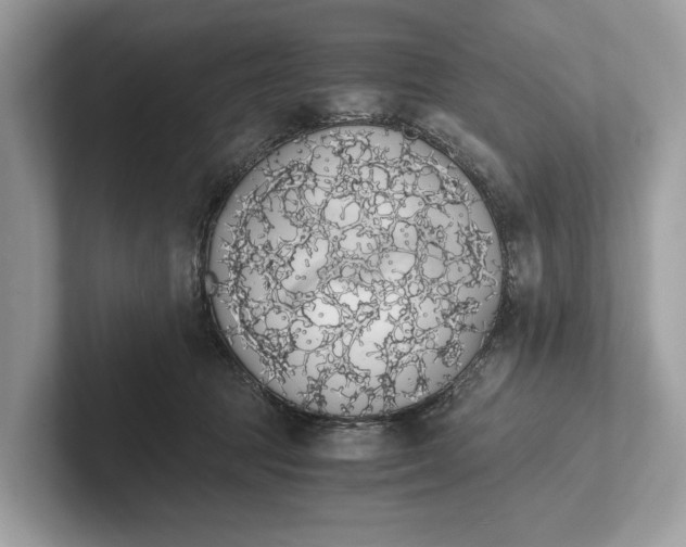 X0000101390369200807211018