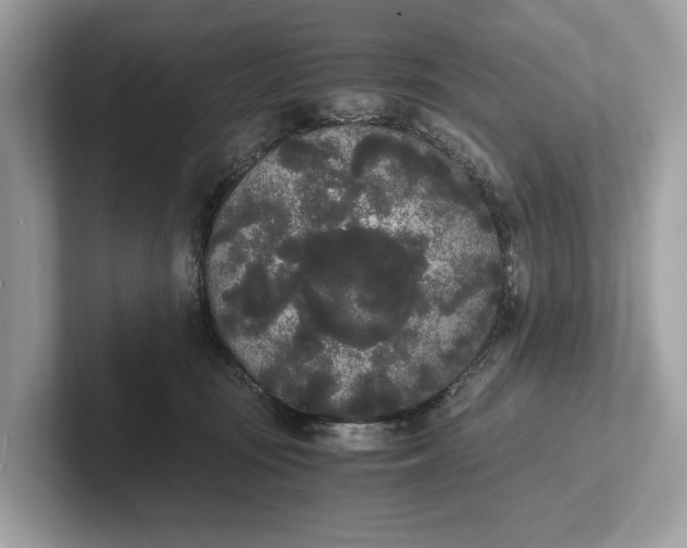 X0000101390371200807211018