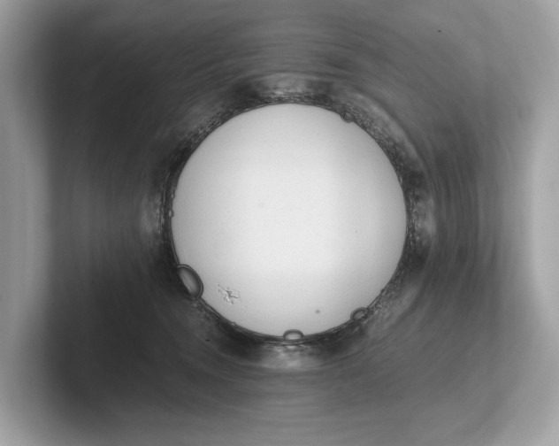 X0000101390372200807211018