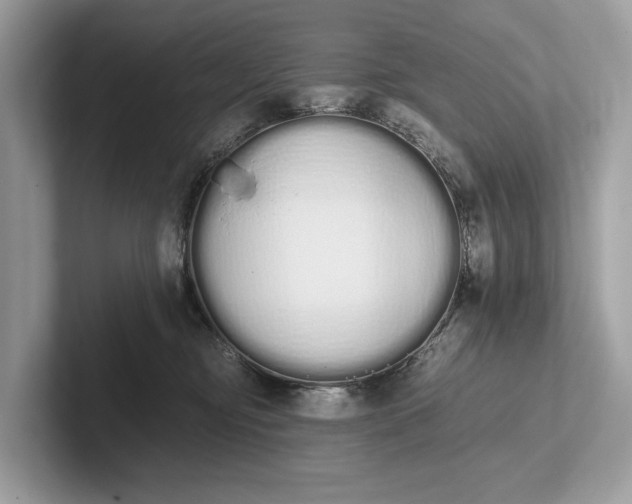 X0000101390374200807211018