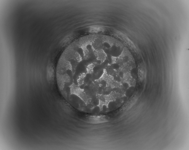 X0000101390375200807211018