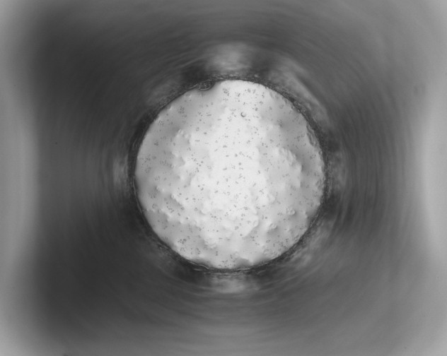 X0000101390377200807211018