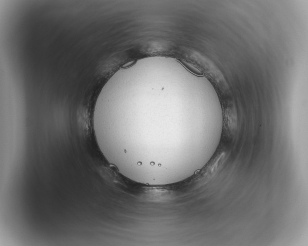 X0000101390380200807211018