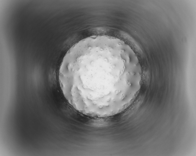 X0000101390381200807211018