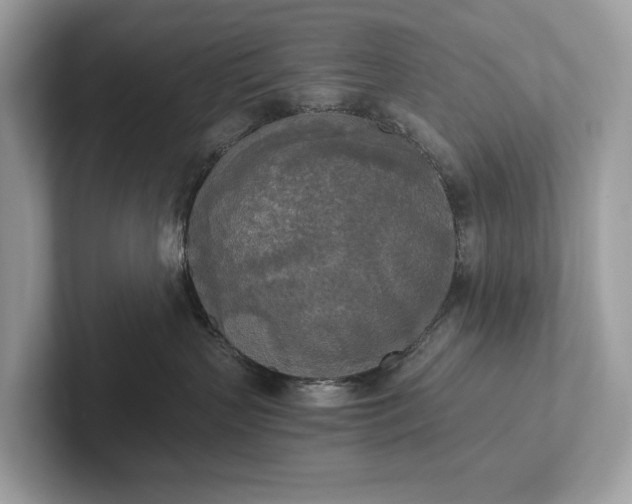 X0000101390383200807211018