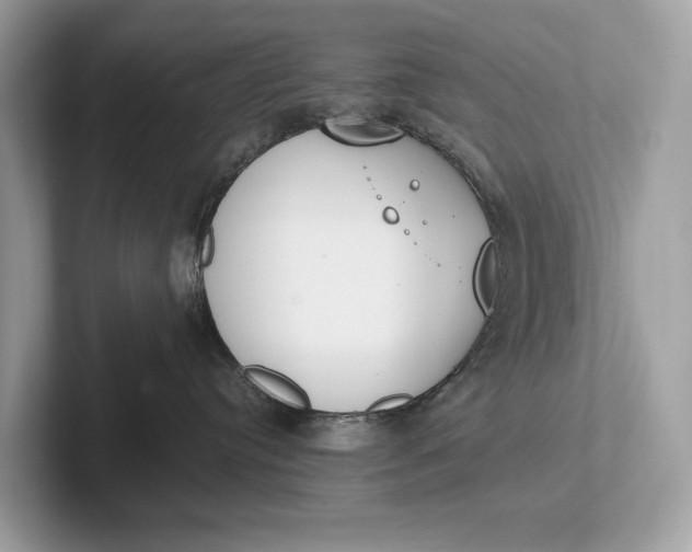 X0000101390384200807211018