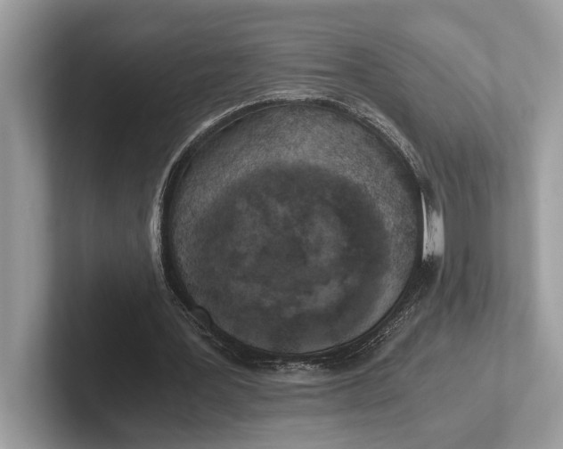 X0000101390387200807211017