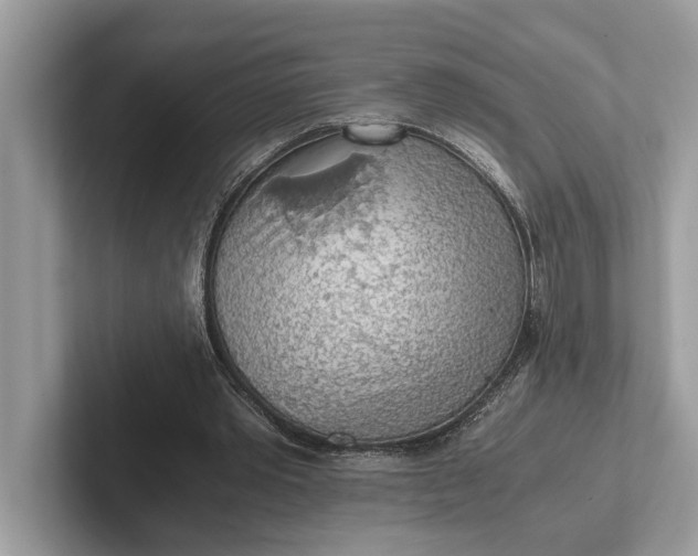 X0000101390389200807211017