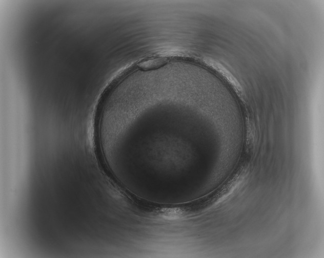 X0000101390391200807211017