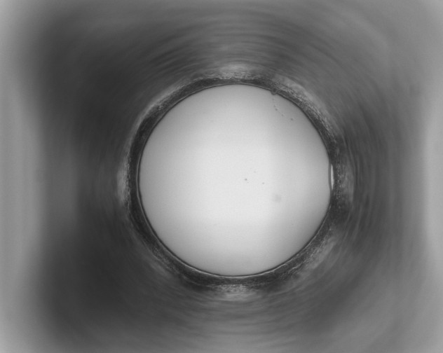 X0000101390392200807211017