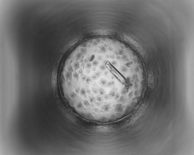 X0000101390394200807211017