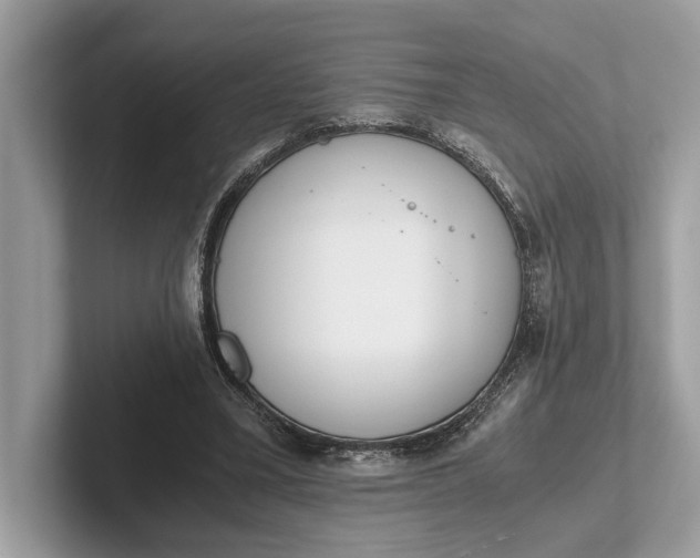 X0000101390395200807211017