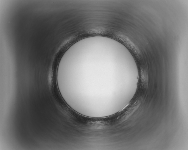 X0000101390396200807211017