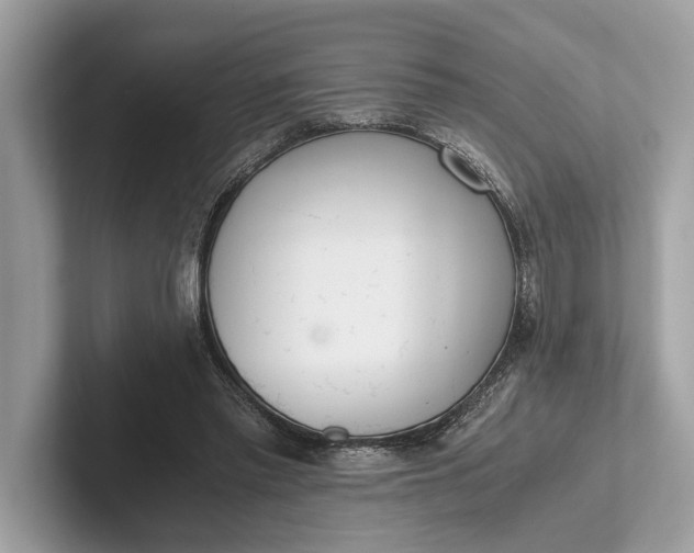 X0000101390397200807211017