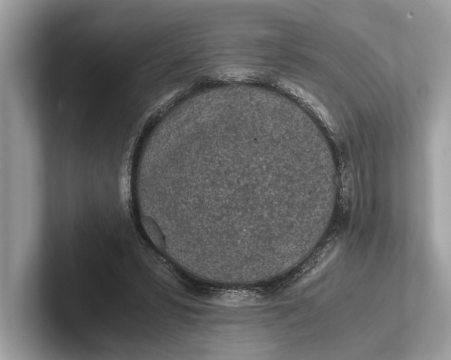 X0000101390399200807211017