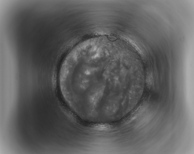 X0000101390402200807211017