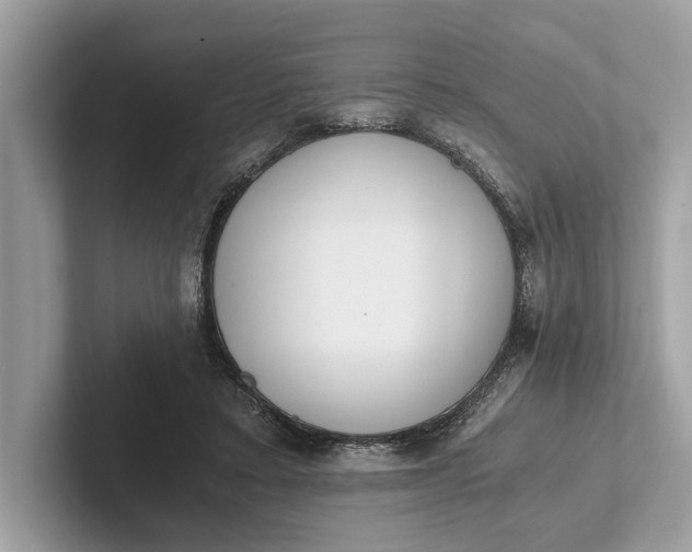 X0000101390403200807211017