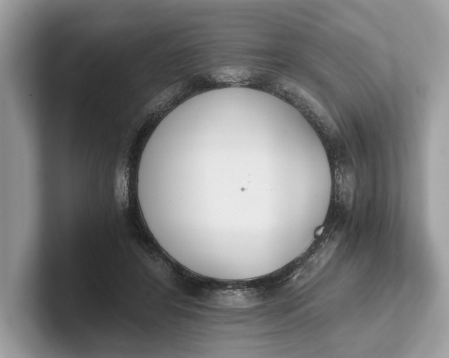 X0000101390404200807211017