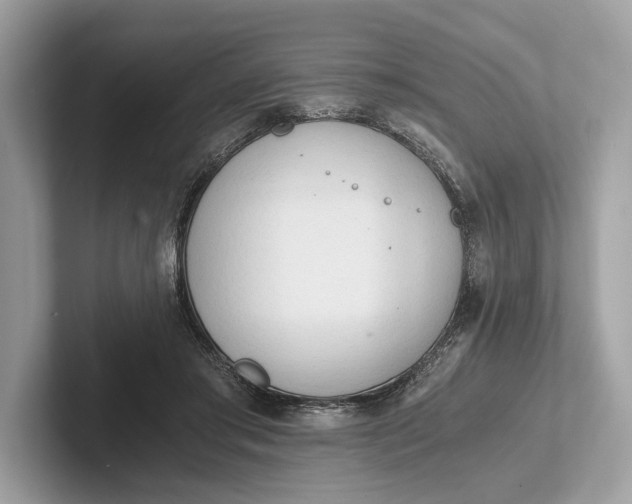 X0000101390405200807211017