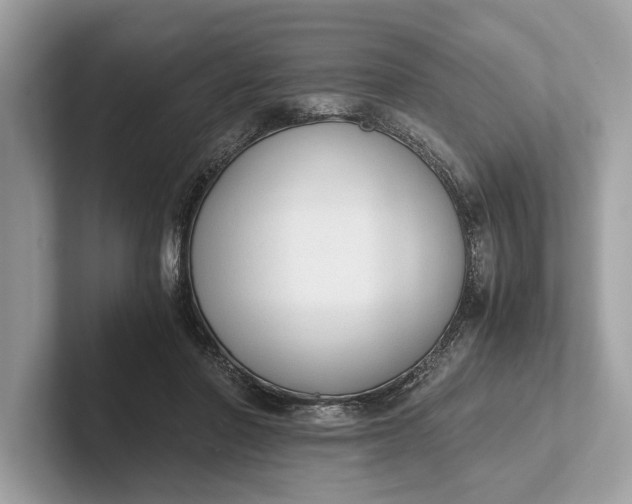 X0000101390406200807211017