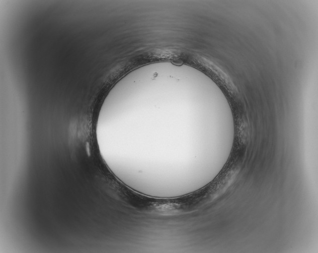 X0000101390407200807211017