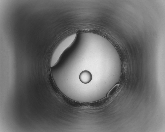 X0000101390408200807211017