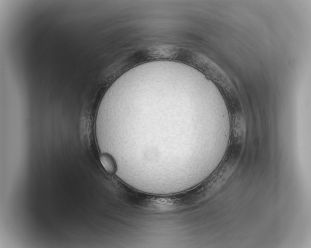 X0000101390409200807211017