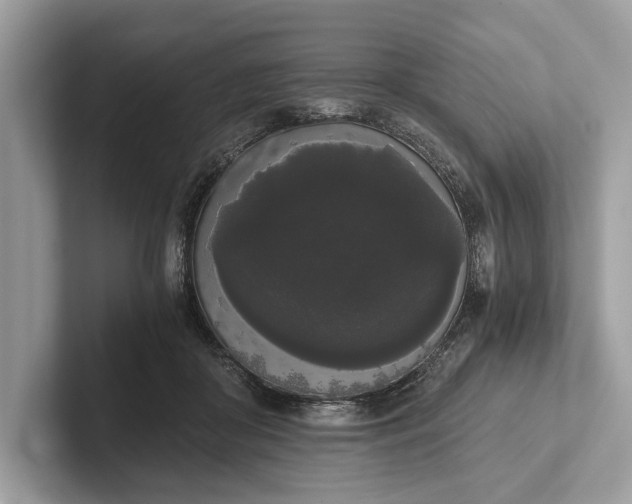 X0000101390410200807211017