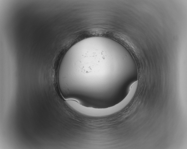 X0000101390411200807211017