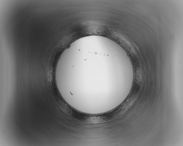 X0000101390413200807211017