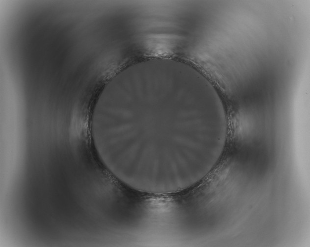 X0000101390415200807211017