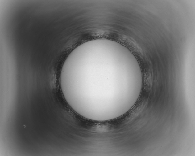 X0000101390416200807211017