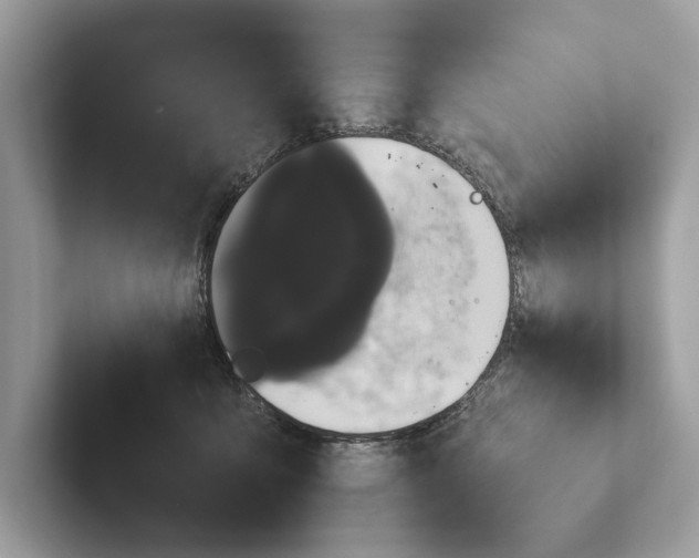 X0000101390419200807211017