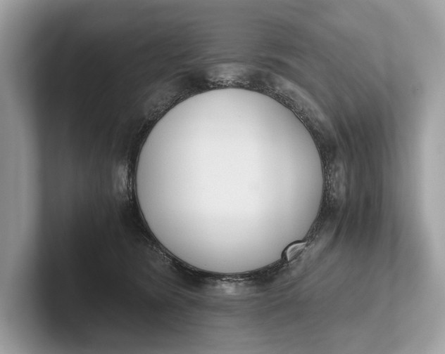 X0000101390420200807211017