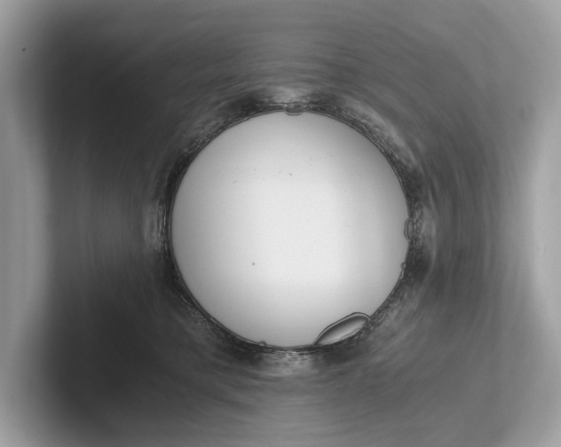 X0000101390421200807211017