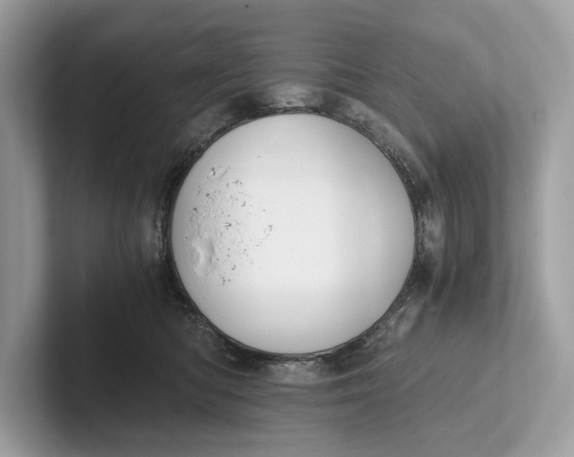 X0000101390422200807211017