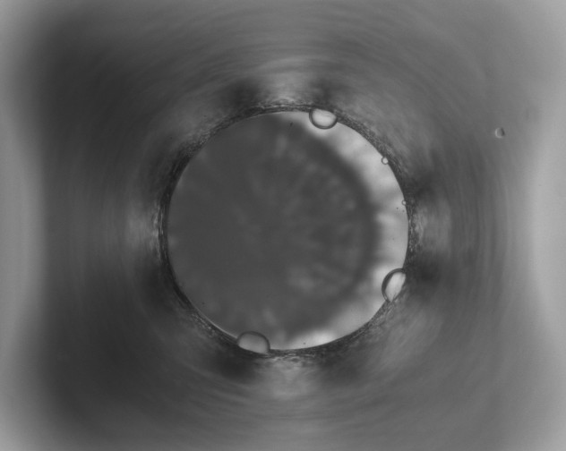 X0000101390423200807211017