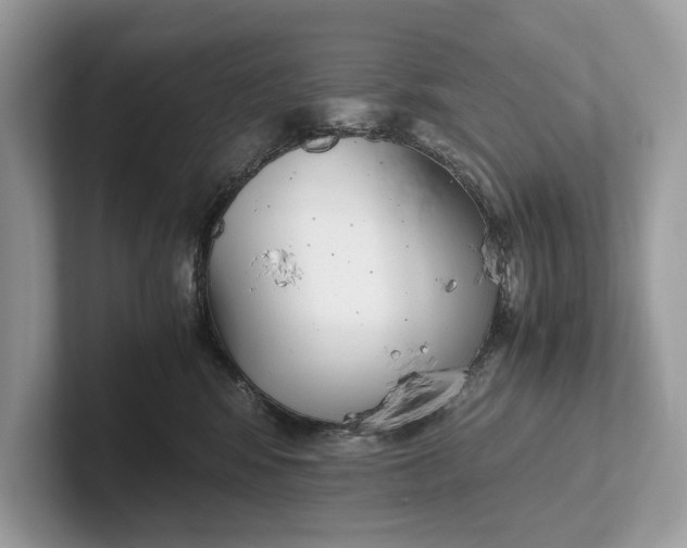 X0000101390424200807211017