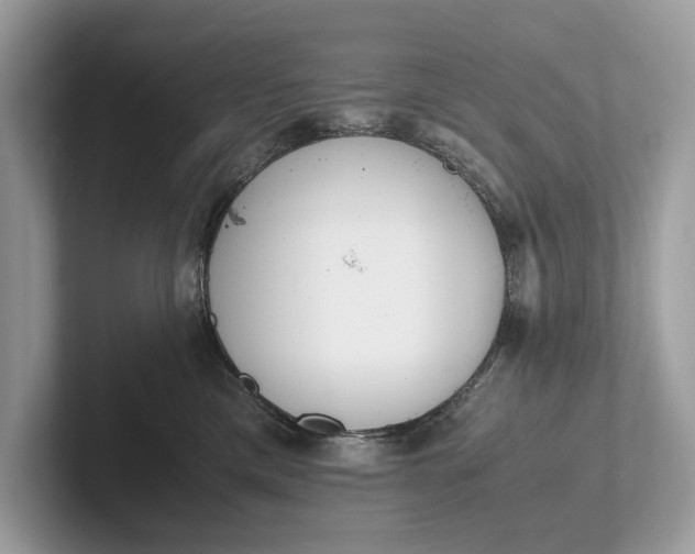 X0000101390425200807211017