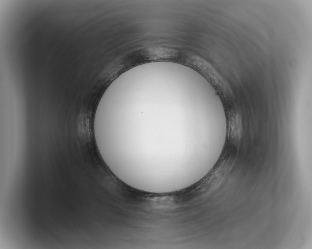 X0000101390426200807211017