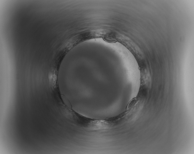 X0000101390427200807211017