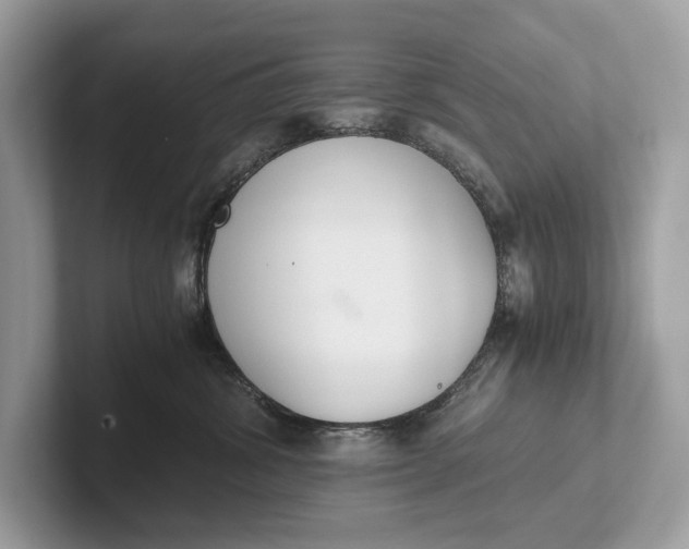 X0000101390428200807211017