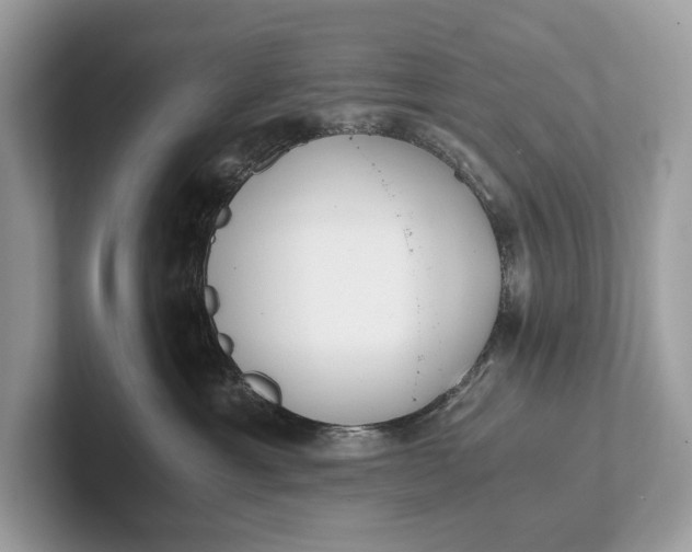 X0000101390429200807211017