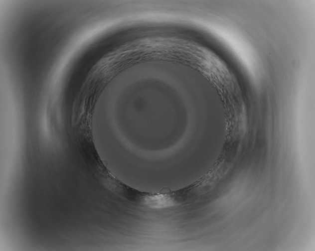 X0000101390431200807211017