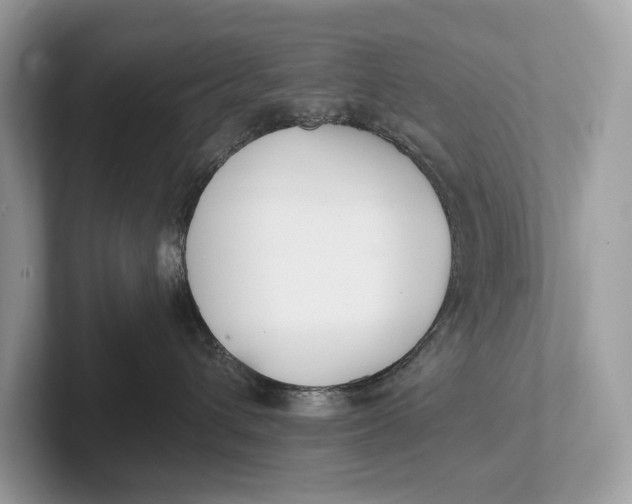 X0000101390432200807211017