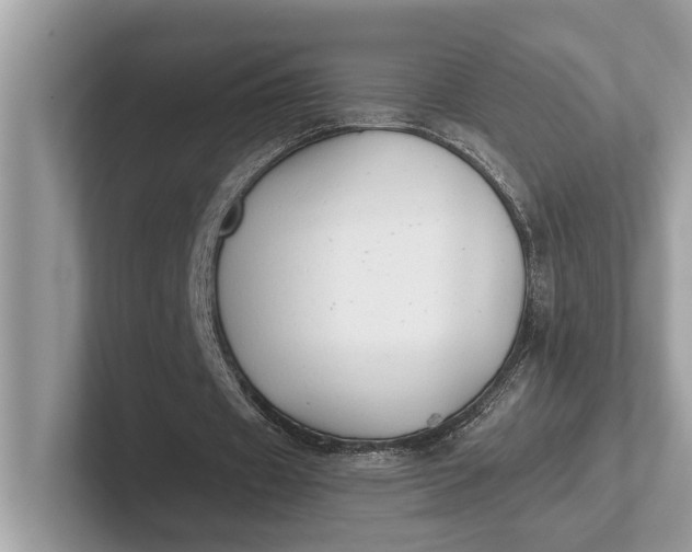 X0000101390433200807211016