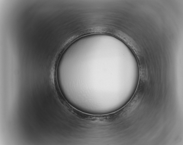 X0000101390434200807211016